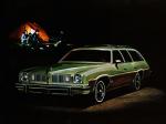 Pontiac Grand LeMans Safari 1975 года